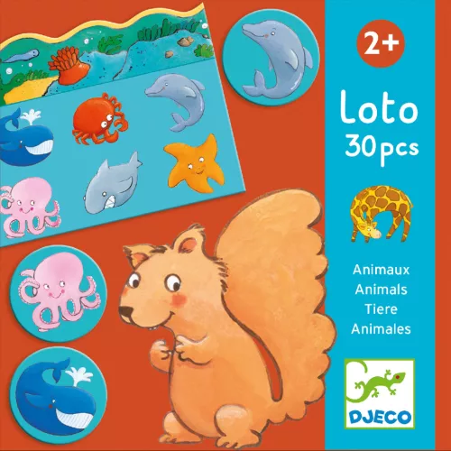 Képes lottó - Állatok élőhelye - Animals
