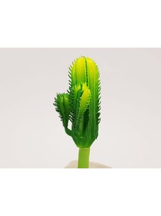 Kaktusz 12cm