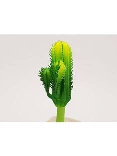 Kaktusz 12cm