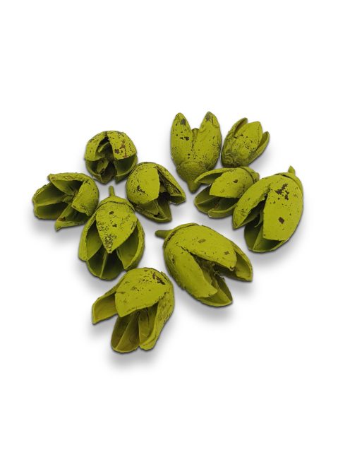 Bakuli termés oliva 10db/csomag