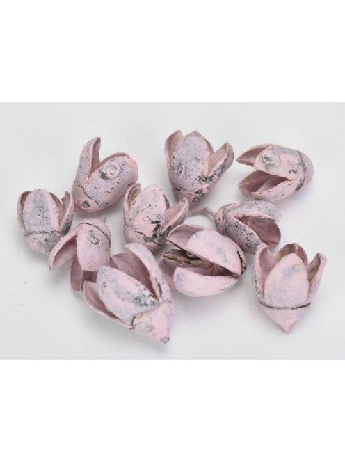 Terméscsomag bakuli rózsaszín 10db/csomag