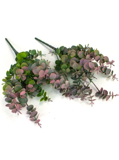 Eukaliptusz bokor hamvas pink 2db/csomag