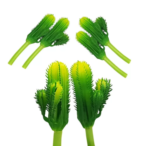 Kaktusz 12cm 6db OKOSÁR!