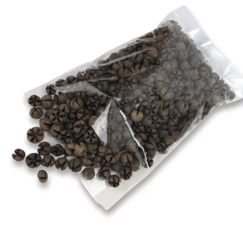Natúr Tulipán termés 500gr OKOSÁR!