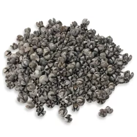 Tulipán termés 500gr - OKOSÁR!