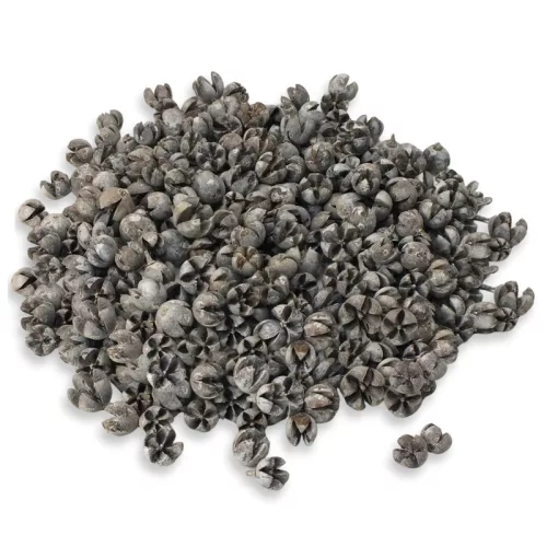 Tulipán termés 500gr - OKOSÁR!
