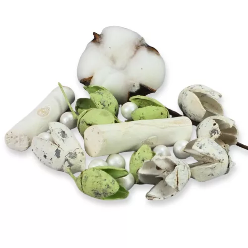 Kincsgyűjtő terméscsomag - menta