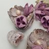 Mesevidék terméscsomag orchidealila