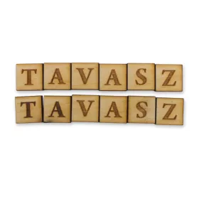 Natúr fa négyzetek - TAVASZ felirattal 2szett/csomag