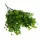 Csillagvirág csokor zöld 2db/csomag