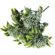 Sedum csokor fehér 2db/csomag