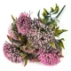 Sedum csokor rózsaszín 2db/csomag