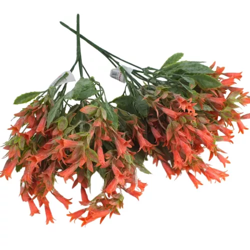 Trombitavirág csokor korall 2db/csomag