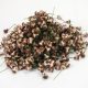 Gomba pick barna 2*1,5cm 1000db/csomag