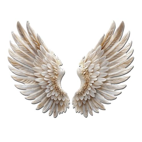 Nyomtatott dekorkarton - Angyalszárny 2db/szett