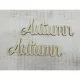 "Autumn" felirat 2db/csomag - KIFUTÓ