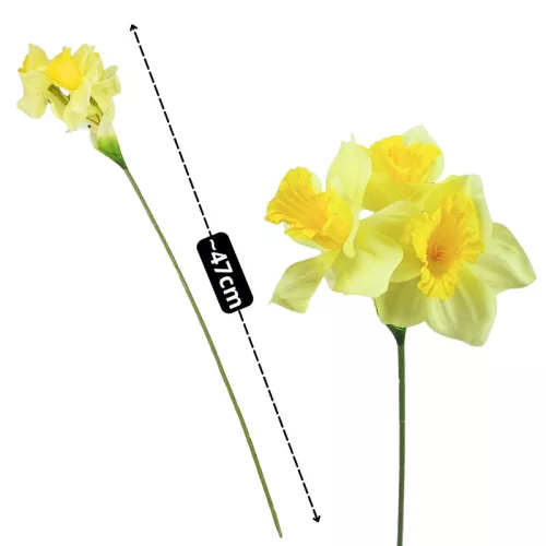 Nárcisz krém-sárga