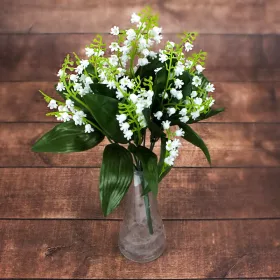 Csokros 7 ágú gyöngyvirág