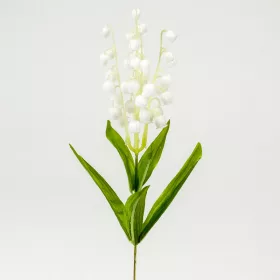 Szálas gyöngyvirág