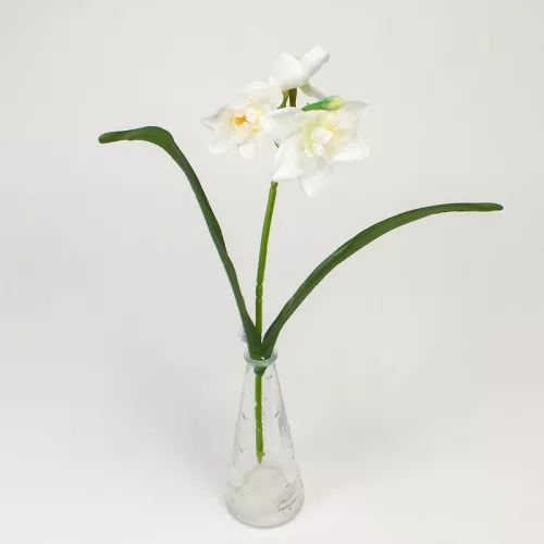 Szálas nárcisz 3 fejes fehér