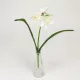 Szálas nárcisz 3 fejes fehér