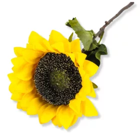 Szálas napraforgó 40cm