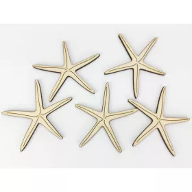 Natúr fa - Tengeri csillag 8cm 5db/csomag