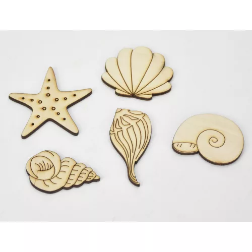 Natúr fa - Kagyló-csiga csomag 4-6cm 5db/csomag