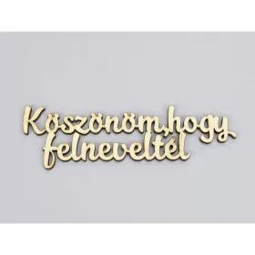   Natúr fa - "Köszönöm, hogy felneveltél" felirat 4x15cm