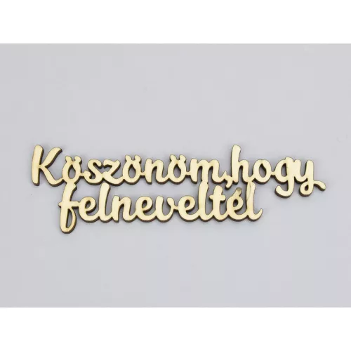 Natúr fa - "Köszönöm, hogy felneveltél" felirat 4x15cm
