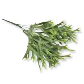 Szarvasagancs páfrány