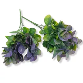 Lila babérmeggy 2db/csomag