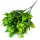 Bogyós csokor zöld