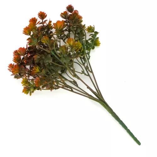 Mini pozsgás csokor barna