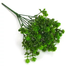 Mini pozsgás csokor zöld