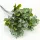 Rezgő csokor hamvaszöld