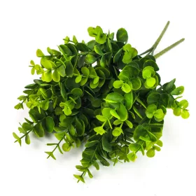 Eukaliptusz csokor sárgászöld