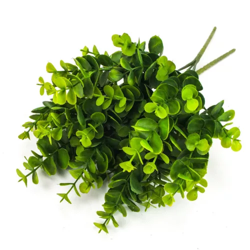 Eukaliptusz csokor sárgászöld