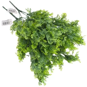 Smaragd thuja csokor hamvaszöld