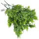 Smaragd thuja csokor hamvaszöld