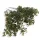 Buxus csokor sárgászöld