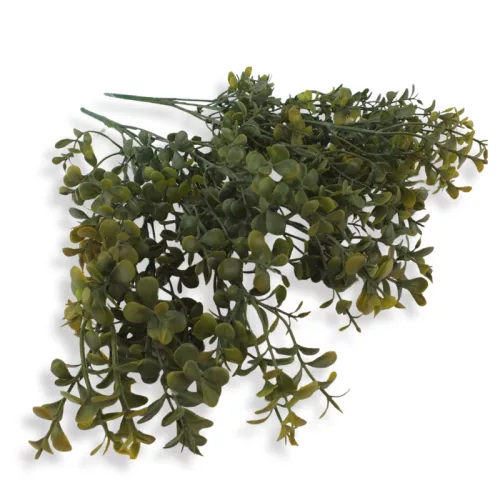 Buxus csokor sárgászöld