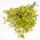 Rezgő csokor- sárga 2db/csomag