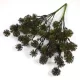Bogáncs csokor - zöldes barna 2db/csomag