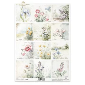 Rizspapír decoupage-hoz mezei virágok A4