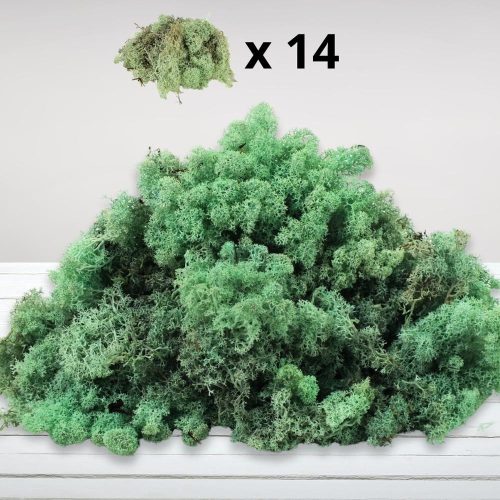 Izlandi zuzmó menta 500gr