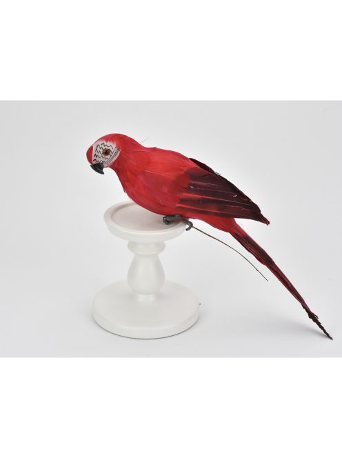 Papagáj piros 36cm