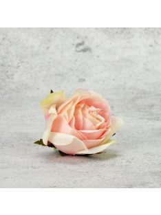 Rózsafej - halvány rózsaszín