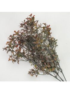 Buxus csokor barna