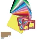 Színes fotókarton 220g, 50x70cm, 25 ív/csg, őzbarna - Folia
